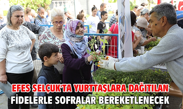 Efes Selçuk'ta yurttaşlara dağıtılan fidelerle sofralar bereketlenecek