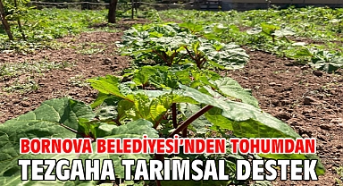 Bornova Belediyesi’nden tohumdan tezgaha tarımsal destek