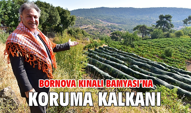 Bornova Kınalı Bamyası'na koruma kalkanı