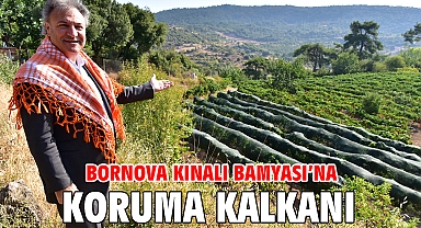 Bornova Kınalı Bamyası'na koruma kalkanı