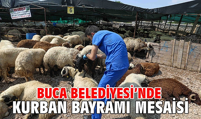 Buca Belediyesi’nde Kurban Bayramı mesaisi