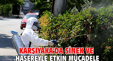 Karşıyaka'da sinek ve haşereyle etkin mücadele