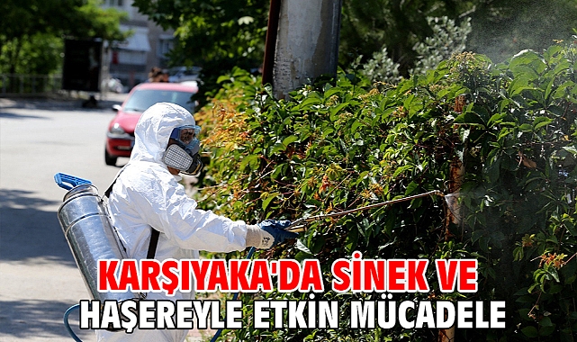 Karşıyaka'da sinek ve haşereyle etkin mücadele