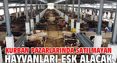 Kurban pazarlarında satılmayan hayvanları ESK alacak