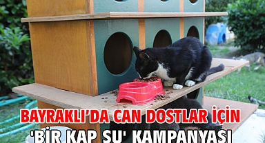 Bayraklı’da can dostlar için 'bir kap su' kampanyası