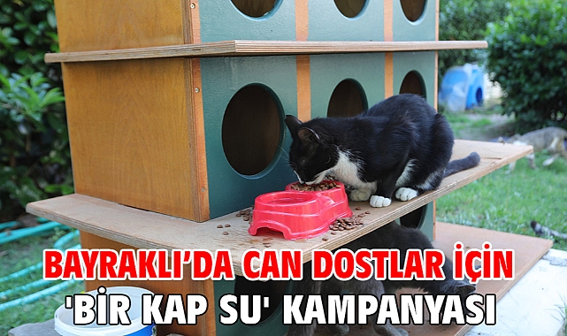 Bayraklı’da can dostlar için 'bir kap su' kampanyası