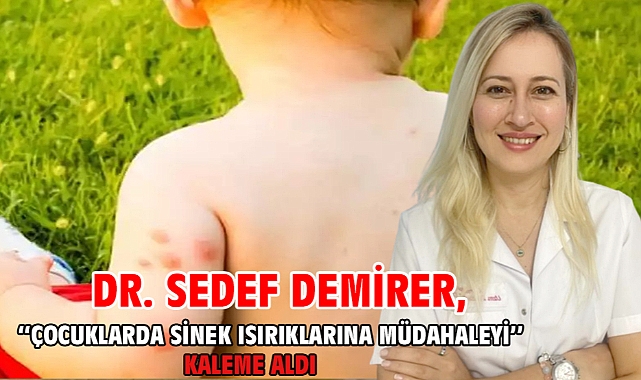 Çocuklarda Sinek Isırıklarına Müdahale