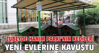 Zübeyde Hanım Parkı’nın kedileri yeni evlerine kavuştu
