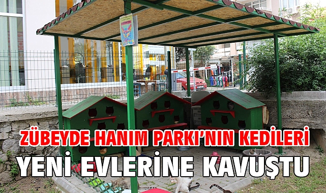Zübeyde Hanım Parkı’nın kedileri yeni evlerine kavuştu