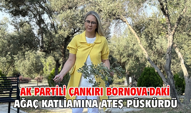 AK Partili Çankırı Bornova'daki Ağaç Katliamına Ateş Püskürdü