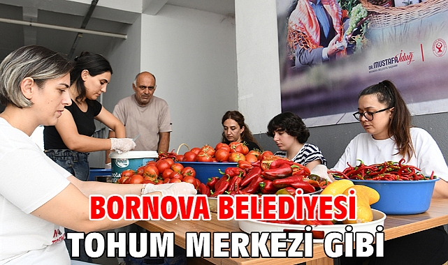 Bornova Belediyesi tohum merkezi gibi