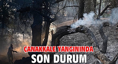 Çanakkale yangınında son durum