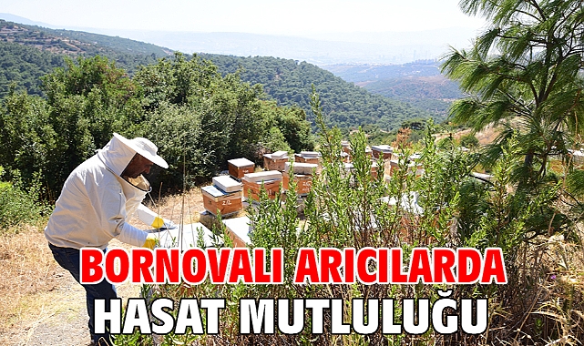 Bornovalı arıcılarda hasat mutluluğu