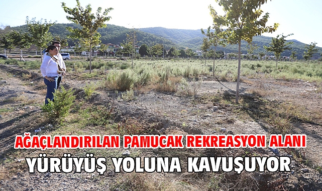 Ağaçlandırılan Pamucak Rekreasyon Alanı Yürüyüş Yoluna Kavuşuyor