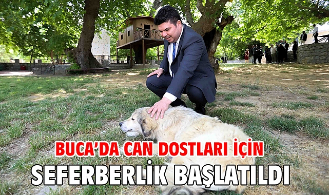 Buca’da can dostları için seferberlik başlatıldı