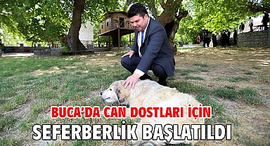 Buca’da can dostları için seferberlik başlatıldı