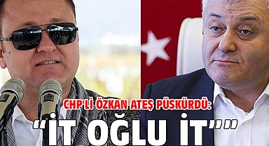 CHP'li Özkan ateş püskürdü: 'İt oğlu itlerle savaş'