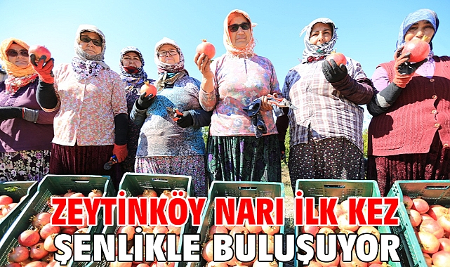 Zeytinköy Narı İlk Kez Şenlikle Buluşuyor