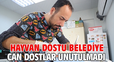 Hayvan Dostu Belediye Can dostlar unutulmadı