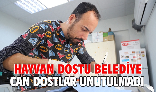 Hayvan Dostu Belediye Can dostlar unutulmadı