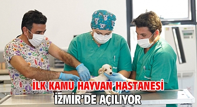 İlk kamu hayvan hastanesi İzmir’de açılıyor