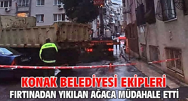Konak Belediyesi ekipleri fırtınadan yıkılan ağaca müdahale etti