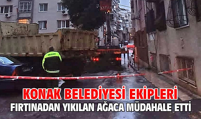Konak Belediyesi ekipleri fırtınadan yıkılan ağaca müdahale etti