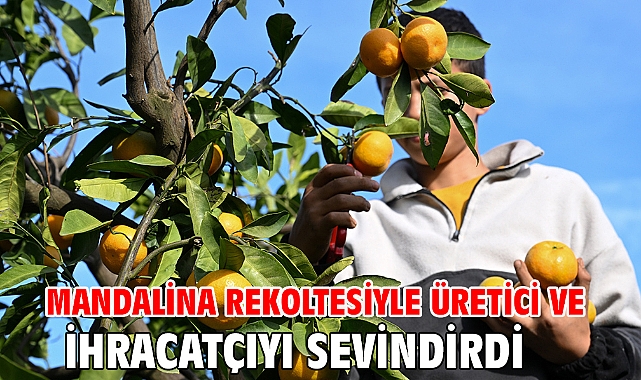 Mandalina rekoltesiyle üretici ve ihracatçıyı sevindirdi