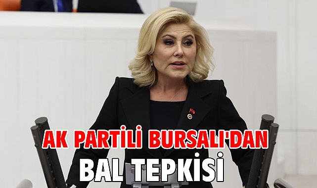 AK Partili Bursalı'dan 'BAL' tepkisi
