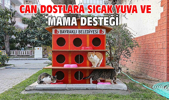 Can dostlara sıcak yuva ve mama desteği