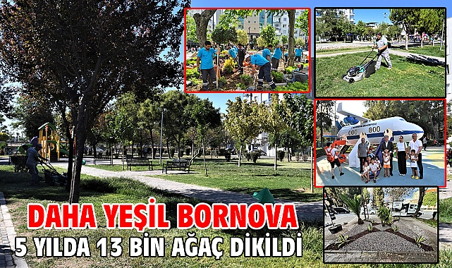 Daha yeşil Bornova 5 yılda 13 bin ağaç dikildi