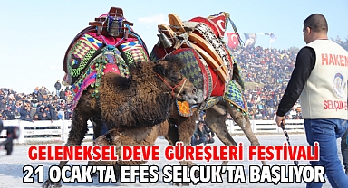 Geleneksel Deve Güreşleri Festivali 21 Ocak’ta Efes Selçuk’ta Başlıyor