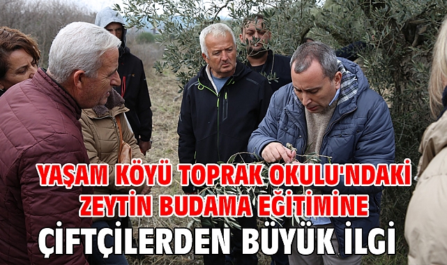 Yaşam Köyü Toprak Okulu'ndaki Zeytin Budama Eğitimine Çiftçilerden Büyük İlgi