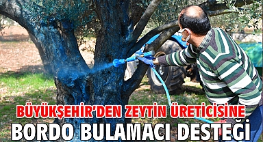 Büyükşehir’den zeytin üreticisine bordo bulamacı desteği