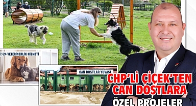 CHP’li Çiçek’ten Can Dostlara Özel Projeler