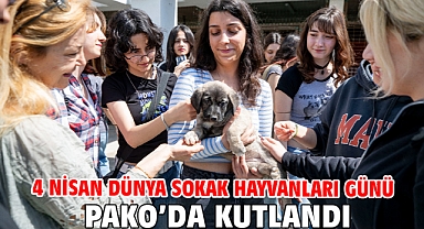 4 Nisan Dünya Sokak Hayvanları Günü PAKO’da kutlandı