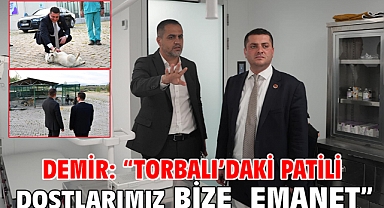 Demir: