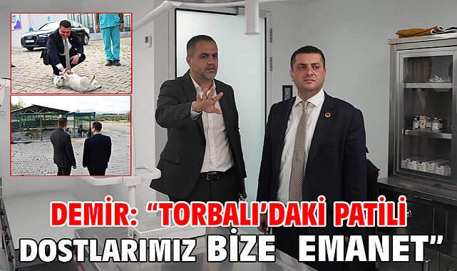 Demir: