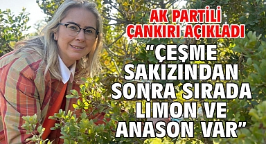 AK Partili Çankırı Açıkladı:“Çeşme Sakızından Sonra Sırada Limon ve Anason Var”