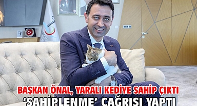 Başkan Önal, yaralı kediye sahip çıktı ‘sahiplenme’ çağrısı yaptı