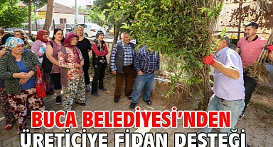 Buca Belediyesi’nden üreticiye fidan desteği