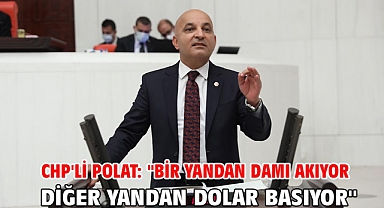 CHP'li Polat: ''Bir Yandan Damı Akıyor Diğer Yandan Dolar Basıyor''
