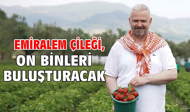 Emiralem Çileği, On Binleri Buluşturacak
