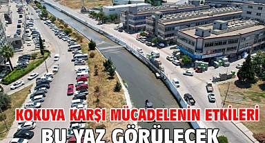 Kokuya karşı mücadelenin etkileri bu yaz görülecek