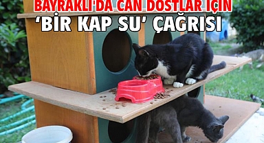 Bayraklı'da can dostlar için ‘bir kap su’ çağrısı