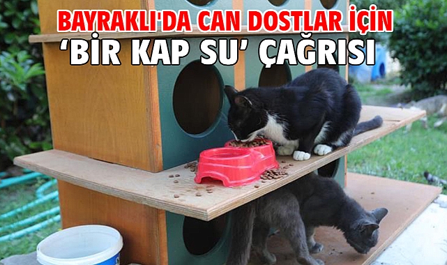 Bayraklı'da can dostlar için ‘bir kap su’ çağrısı