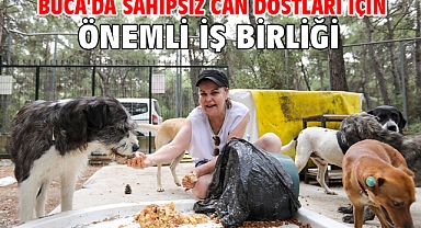 Buca'da sahipsiz can dostları için önemli iş birliği