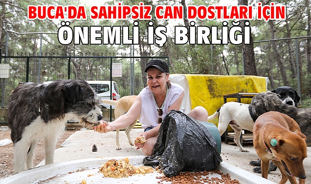 Buca'da sahipsiz can dostları için önemli iş birliği