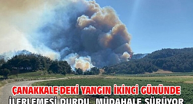 Çanakkale'deki yangın ikinci gününde! İlerlemesi durdu, müdahale sürüyor