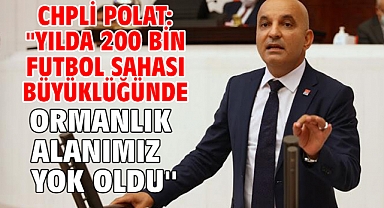 CHPli Polat: ''Yılda 200 Bin Futbol Sahası Büyüklüğünde Ormanlık Alanımız Yok Oldu''